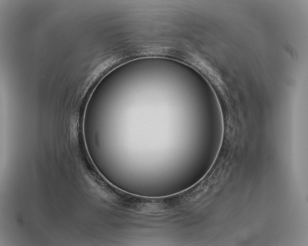 X0000115600107200911101414