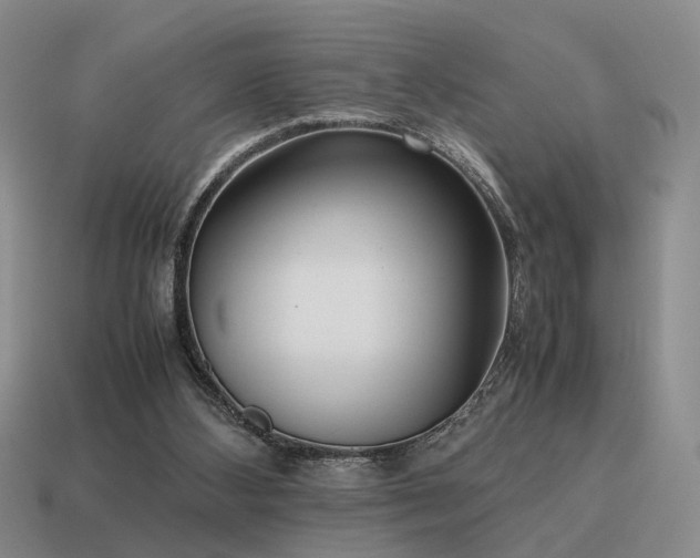 X0000115600108200911101414