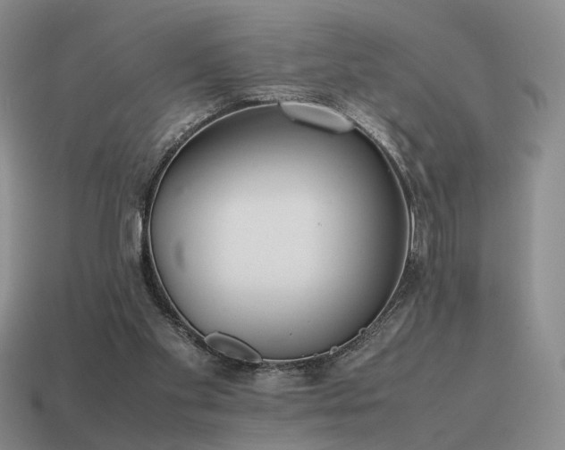 X0000115600109200911101414