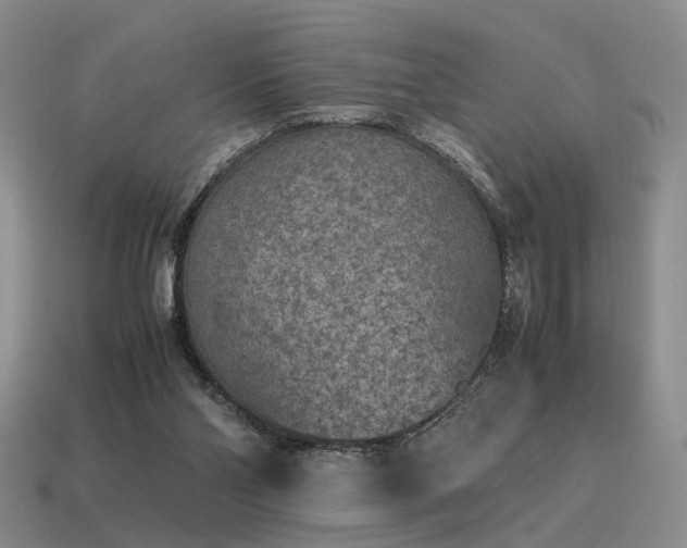 X0000115600110200911101414