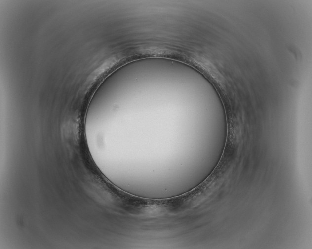 X0000115600111200911101414