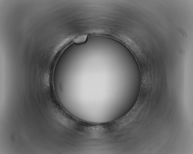 X0000115600112200911101414