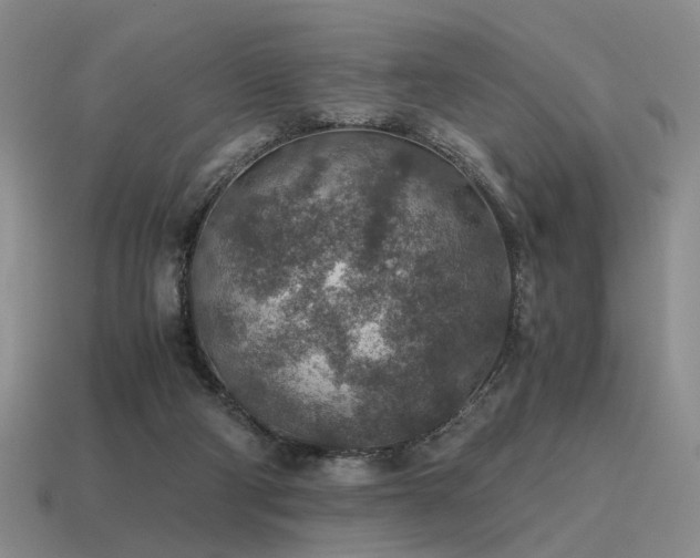 X0000115600114200911101414