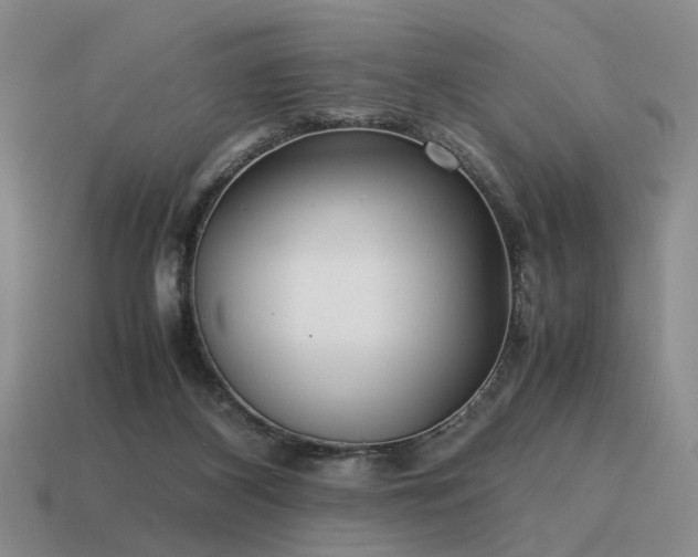 X0000115600116200911101414