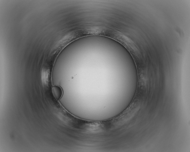 X0000115600118200911101414