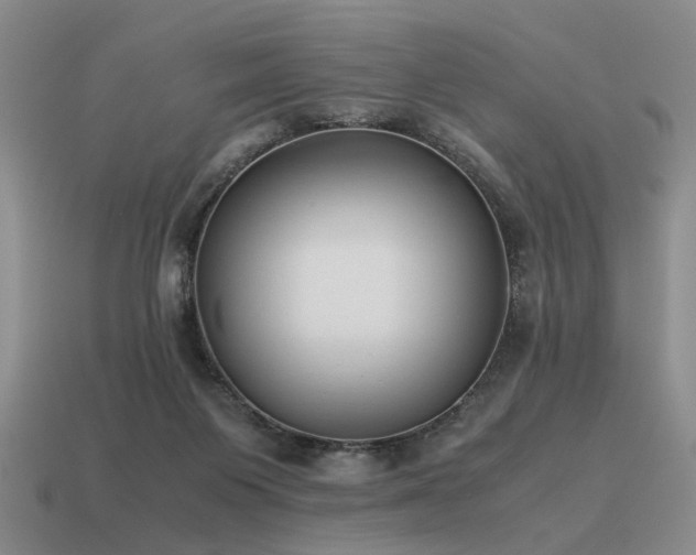 X0000115600119200911101414