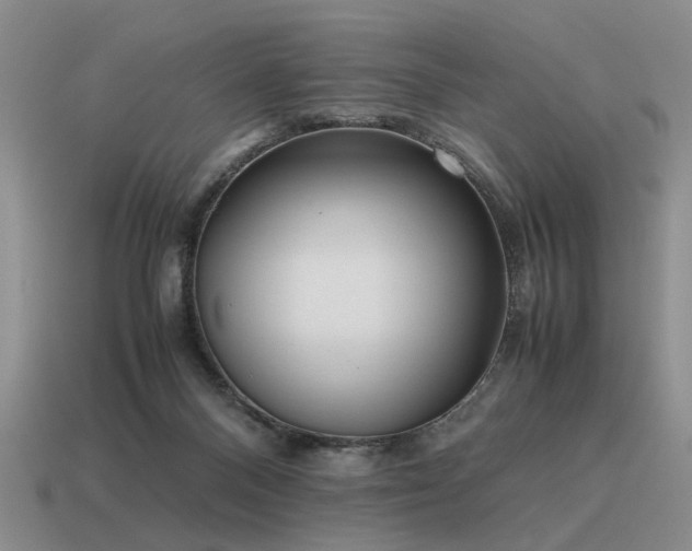 X0000115600120200911101414