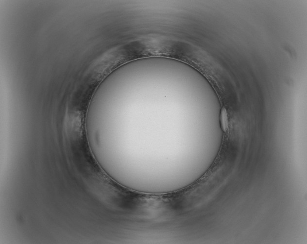 X0000115600121200911101414