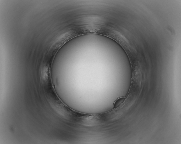 X0000115600122200911101414