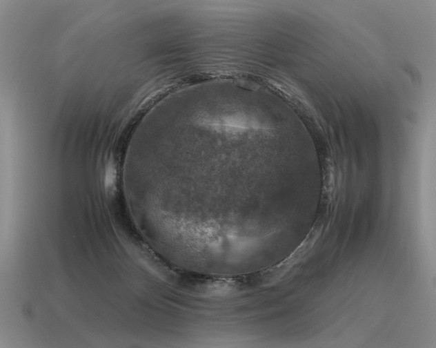 X0000115600124200911101414