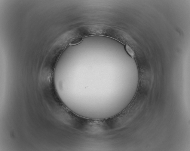 X0000115600125200911101414