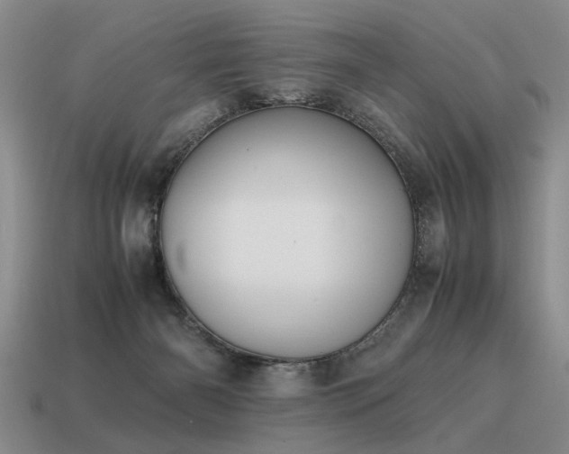 X0000115600126200911101414