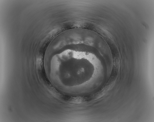 X0000115600127200911101414