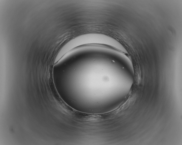 X0000115600128200911101414