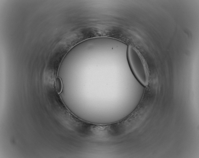 X0000115600129200911101414