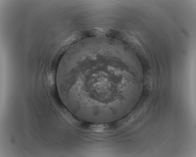 X0000115600131200911101414