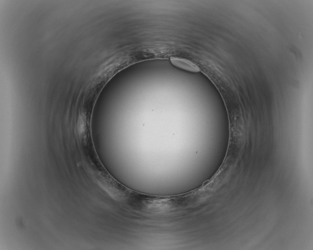 X0000115600132200911101414