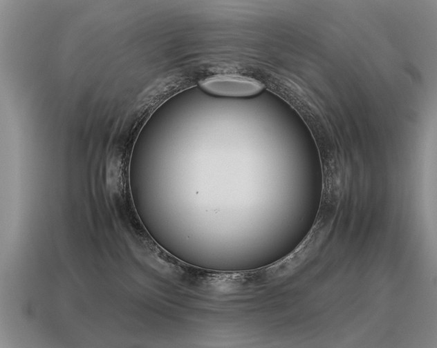 X0000115600136200911101414