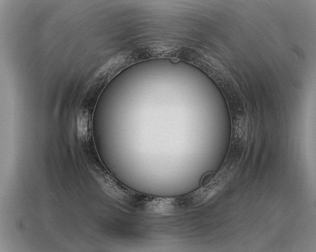 X0000115600138200911101414