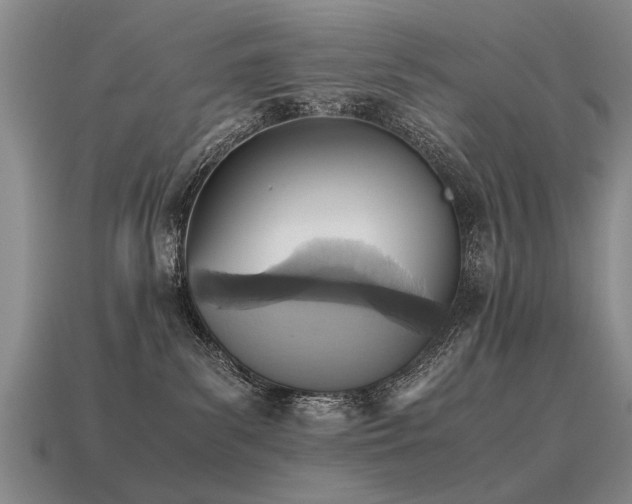 X0000115600139200911101414