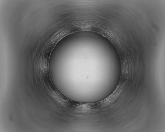 X0000115600140200911101414