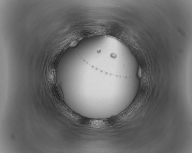 X0000115600141200911101414