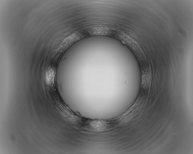 X0000115600142200911101414