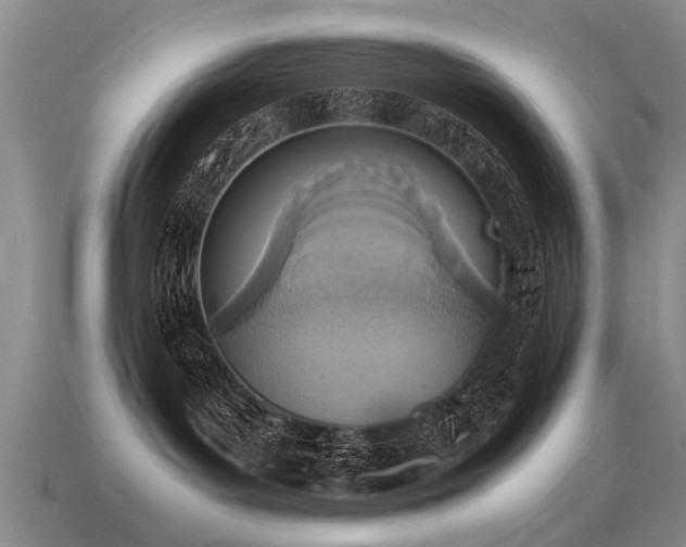 X0000115600143200911101414