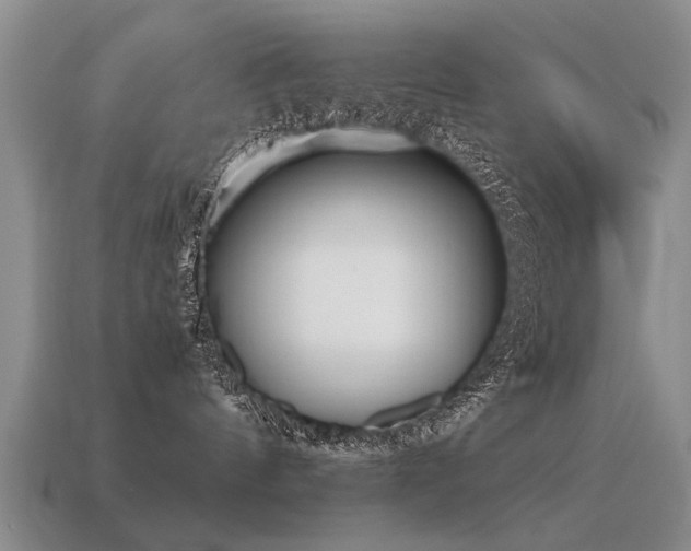 X0000115600144200911101414