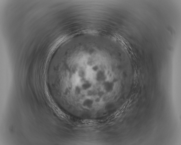 X0000115600145200911101413