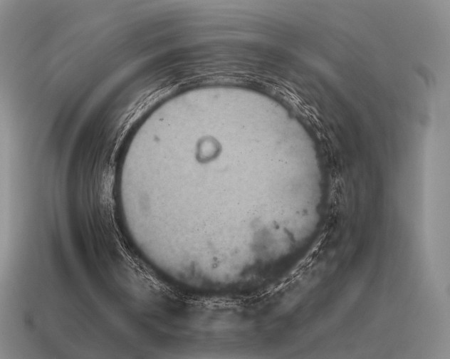 X0000115600146200911101413