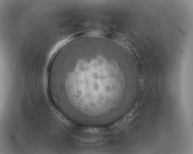 X0000115600149200911101413