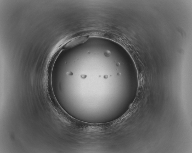 X0000115600150200911101413