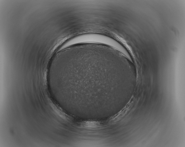 X0000115600154200911101413