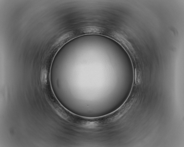 X0000115600157200911101413