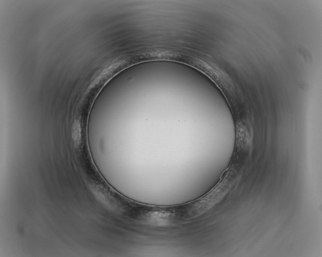 X0000115600158200911101413