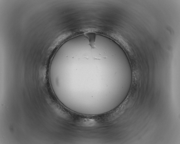 X0000115600159200911101413