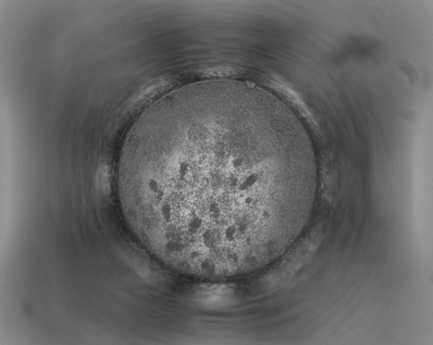 X0000115600161200911101414