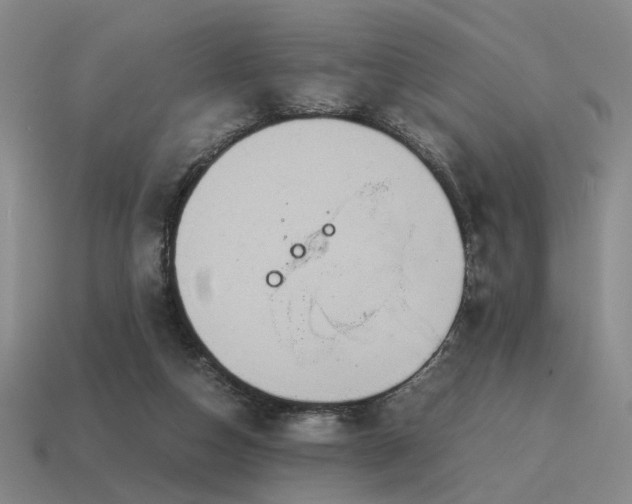 X0000115600162200911101414