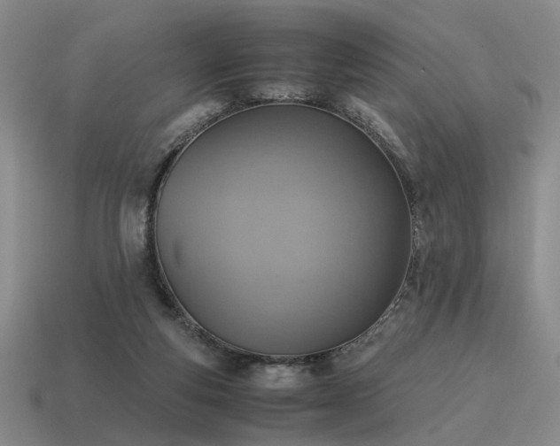 X0000115600163200911101414