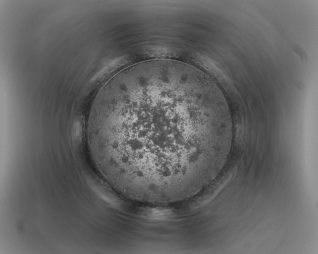 X0000115600165200911101414