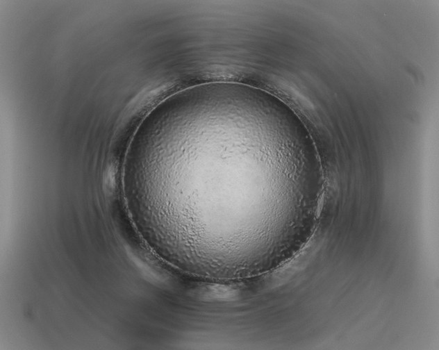 X0000115600166200911101414