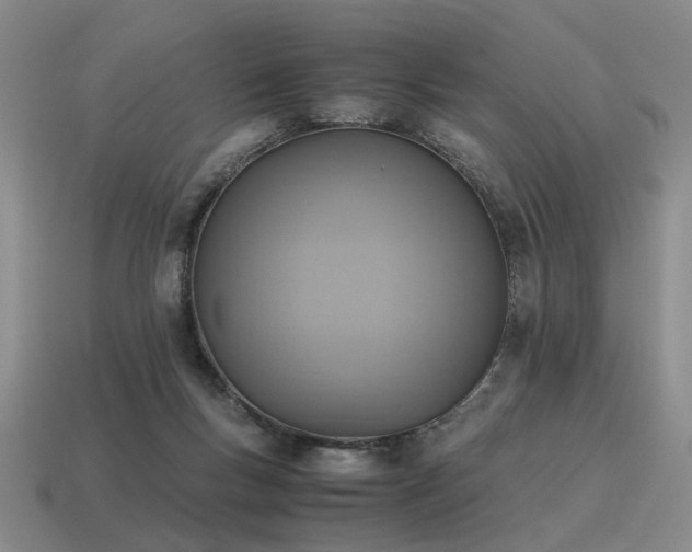 X0000115600167200911101414