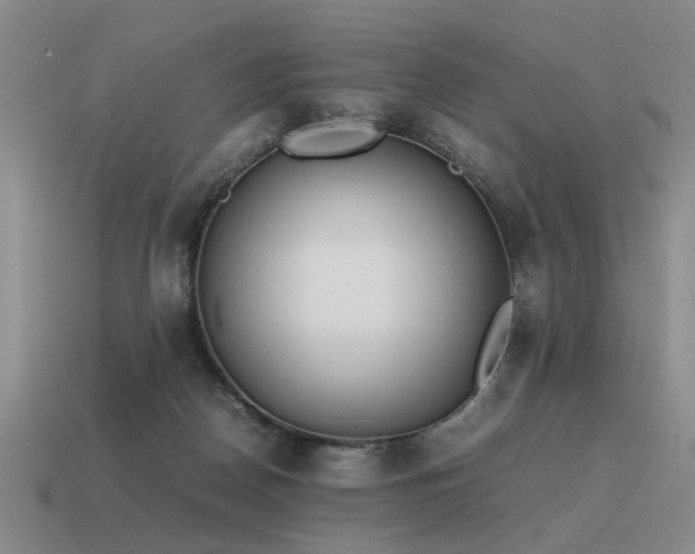 X0000115600170200911101414