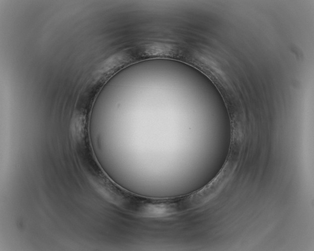 X0000115600171200911101414