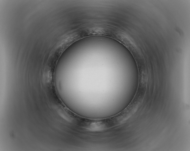 X0000115600173200911101414