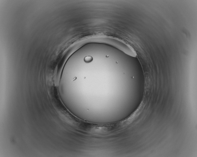 X0000115600174200911101414