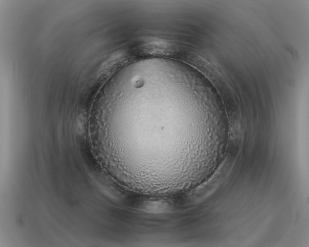 X0000115600175200911101414