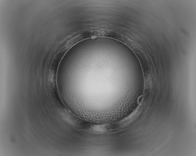 X0000115600178200911101414