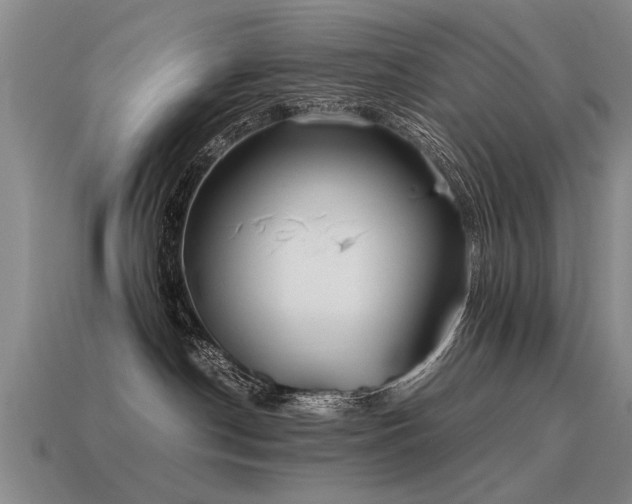 X0000115600190200911101414